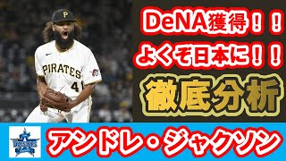 【新外国人選手】アンドレ・ジャクソンDeNAを徹底分析！！ [upl. by Ardnohsed649]