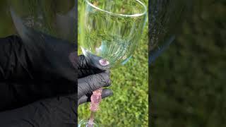 custom wine glasses blownglass glassblowing glassartist [upl. by Naveb]