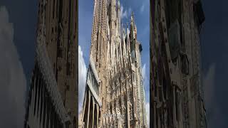 Sagrada Familia shorts barcelona architecture [upl. by Nirik10]