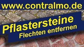 Wie man Pflastersteine reinigen kann das sind die besten Mittel so funktioniert es wir helfen [upl. by Nidnal]