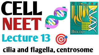 Cell  cilia and flagella centrosome Lecture 13 NCERT 11 BIOLOGY in a easy way [upl. by Ydnik340]