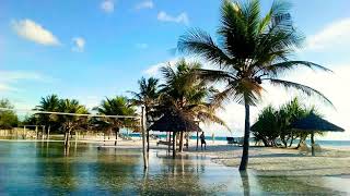 Konokono beach resort Zanzibar [upl. by Smiley652]