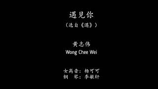 黄志伟 Wong Chee Wei 遇见你（选自《遇》） [upl. by Melania]