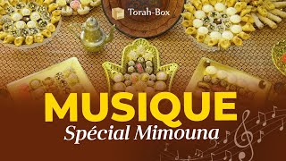 Musiques spéciales MIMOUNA offertes par TorahBox  מימונה [upl. by Aerbas]