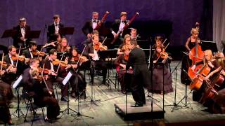 WA Mozart  Symphony No 40 gmoll  I [upl. by Lalib517]