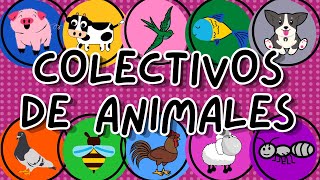 COLECTIVO DE ANIMALES  CONJUNTOS DE ANIMALES [upl. by Tadashi]