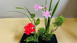 Amaryllis and Red Geranium Flower Arrangement Ideas for Bold and Vibrant Displays [upl. by Lyons]