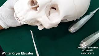 Use Of Winter Cryer Elevator Use of CrossBar Elevator Use of Dental Elevator For tooth Extraction [upl. by Tihom489]