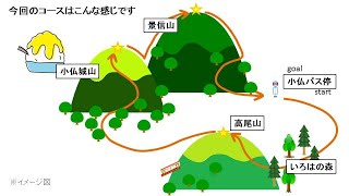 【奥高尾縦走：夏】高尾山いろはの森から巨大かき氷を食べに行きます [upl. by Leksehc]