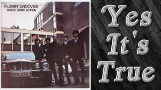 Flamin Groovies  Yes Its True [upl. by Vezza]