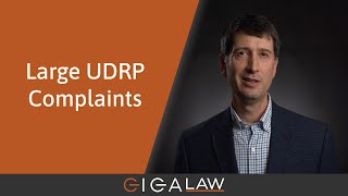 Domain Name Masterclass 9 Large UDRP Complaints [upl. by Lleda]