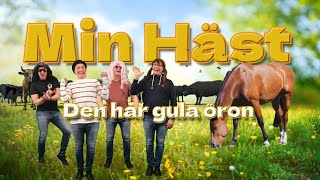 Min häst Den har gula öron [upl. by Ainegue]