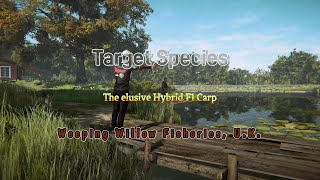 Hybrid F1 Carp  Fishing Planet [upl. by Shadow]