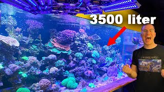 3500 Liter REEF TANK Tour  This is Falks XXL coral aquarium crazy LED [upl. by Ifill39]