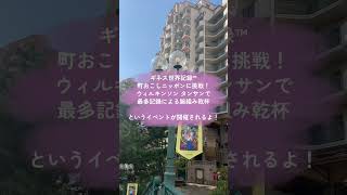 宝塚って歌劇団以外に何があるの？ギネス記録に挑戦編 宝塚市 宝塚歌劇団 末広公園 ウィルキルソン shorts [upl. by Corotto568]