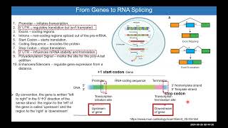 Module 7 NCBI Ensembl GenomeBrowsers PrimerDesign HSS3109 [upl. by Esdnyl]