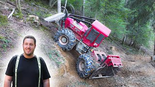 FORÊT 2023  🌲DEBUSQUEUR CAMOX dans les Pyrénées  ALLIANCE FORESTAR [upl. by Chatterjee]