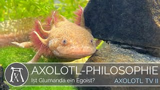 Ist Glumand ein Egoist [upl. by Penelope]