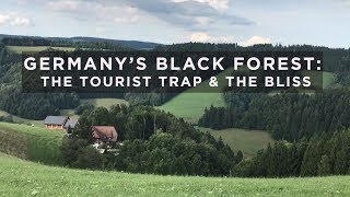 Germany’s Black Forest The Tourist Trap and the Bliss [upl. by Portuna]