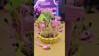 My Fairy Garden  Hops Hideaway 🐸 asmr fairygarden [upl. by Ardnael]