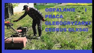 Jak pali i kosi chwasty glebogryzarka Cedrus GLX540 [upl. by Francis]