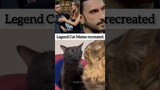 Black cat meme template  ranveer Deepika viral past story at koffee with karan shorts [upl. by Nimref]