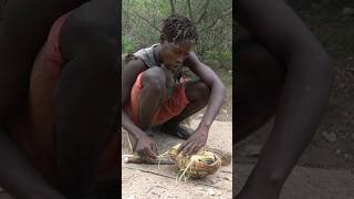 Tortoise for food  Hadza boy [upl. by Hentrich]