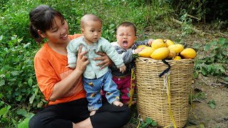 Single mom Harvesting le ki ma fruit goes market sell to sell Make a chicken coop Single life [upl. by Pippa]