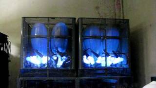 Mercury Arc Rectifier [upl. by Emyaj]