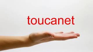 How to Pronounce toucanet  American English [upl. by Dynah557]