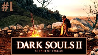 DARK SOULS 2 SEEKER OF FIRE 20  O mod que muda tudo 1 [upl. by Aihsekal23]