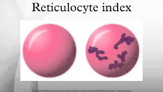 Reticulocyte index [upl. by Herrington]