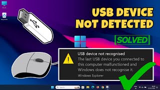 How To Fix USB Device Not Recognized in Windows 1110 2024 UPDATEDSolve USB Device Not Showing Up [upl. by Retsevlis30]