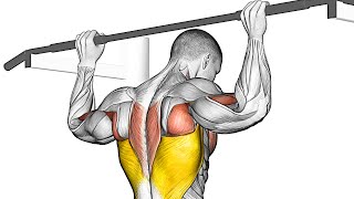 The Best PullUp Variations Transform Your Back [upl. by Livingston927]