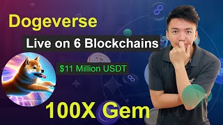 Dogeverse Presale Live on 6 Blockchains  11 Million USDT Raised  Dont Miss 100X Presale Project [upl. by Mosera692]