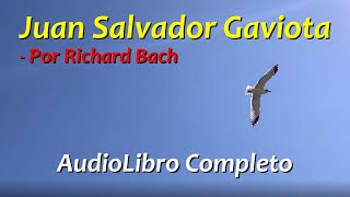 Juan Salvador Gaviota AUDIOLIBRO COMPLETO [upl. by Chesna]