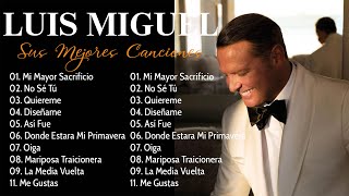 Luis Miguel 90s Sus Exitos Romanticos  Mix Romanticos  Mejores Canciones [upl. by Notsgnik283]