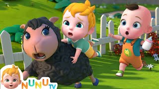 Baa Baa Black Sheep Song  Nursery Rhymes amp Kids Songs  NuNu Tv Baby Songs [upl. by Naleag]