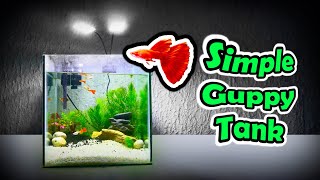 SIMPLE GUPPY FISH TANK setup  Simple DIY for AFR Albino Full Red Guppy Tank Aquarium Setup [upl. by Tansy]