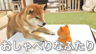 喋る柴犬に真似するおもちゃをプレゼントしたら会話を始めた [upl. by Wengert461]