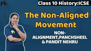 The NonAligned Movement Class 10 ICSE History  Selina Chapter 16  Factors NAM Panchsheel [upl. by Buzz675]