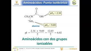 Sesión Ionización de aa y Punto isoeléctrico [upl. by Mohsen743]