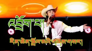 New Tibetan Song 2023  Drokpa  Rinchen Dolma  འབྲོག་པ།  རིན་ཆེན་སྒྲོལ་མ། [upl. by Daggna959]