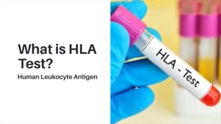 What is a HLA Tissue Typing Test Human Leukocyte Antigen  Lyfboat [upl. by Sheilah]