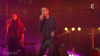 Alcaline le Mag  Alain Chamfort  La Fièvre dans le Sang en live [upl. by Ahsercel]