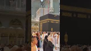 surah ADDUHA qurantilawat quranrecitation hajj [upl. by Hgielsa]