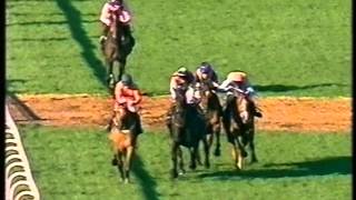 2002 Ritz Club Ascot Chase [upl. by Ivey]