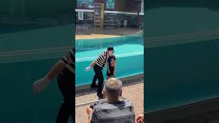 SeaWorld Mime does evil prank to innocent kid 💀 shorts [upl. by Rysler924]