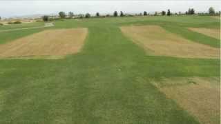 Webcast Winter Overseeding Transition Management [upl. by Kred]