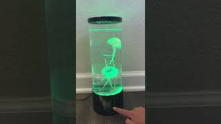 Jellyfish Lamp [upl. by Hcurob]